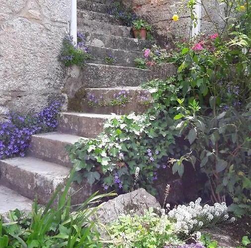 - Charme, Jardin Et Vue Imprenable En Plein Coeur De St-cirq ゲストハウス